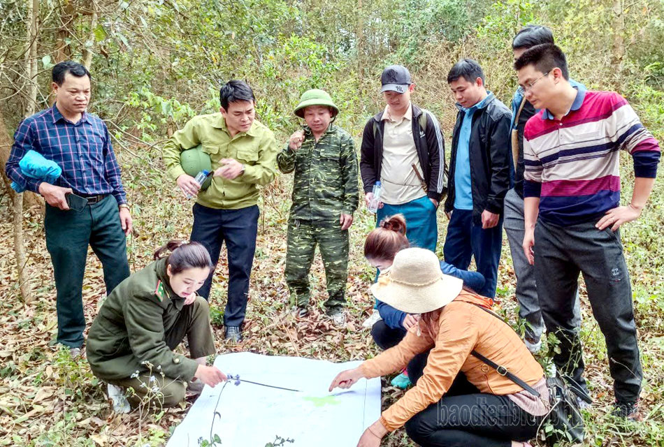 Nữ kiểm lâm Lường Thị Dân phối hợp cùng chính quyền địa phương kiểm tra thực địa.